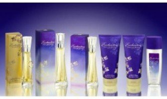 Enchanting by Celine Dion
