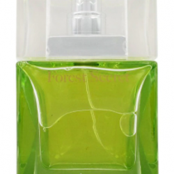 Béjar Forest Secret EDP 75ml