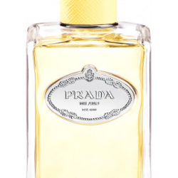 Prada Infusion de Mimosa EDP 100ml