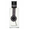Angela Ciampagna Nox EDP 50ml
