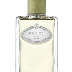 Prada Infusions Vetiver EDP 100ml