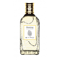 Etro Shantung EDP 100ml