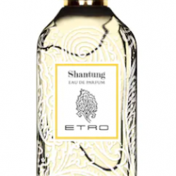 Etro Shantung EDP 100ml