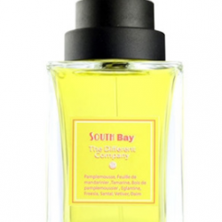 The Different Company South Bay EDT 100ml