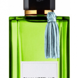 Diana Vreeland Vivaciously Bold EDP 50ml