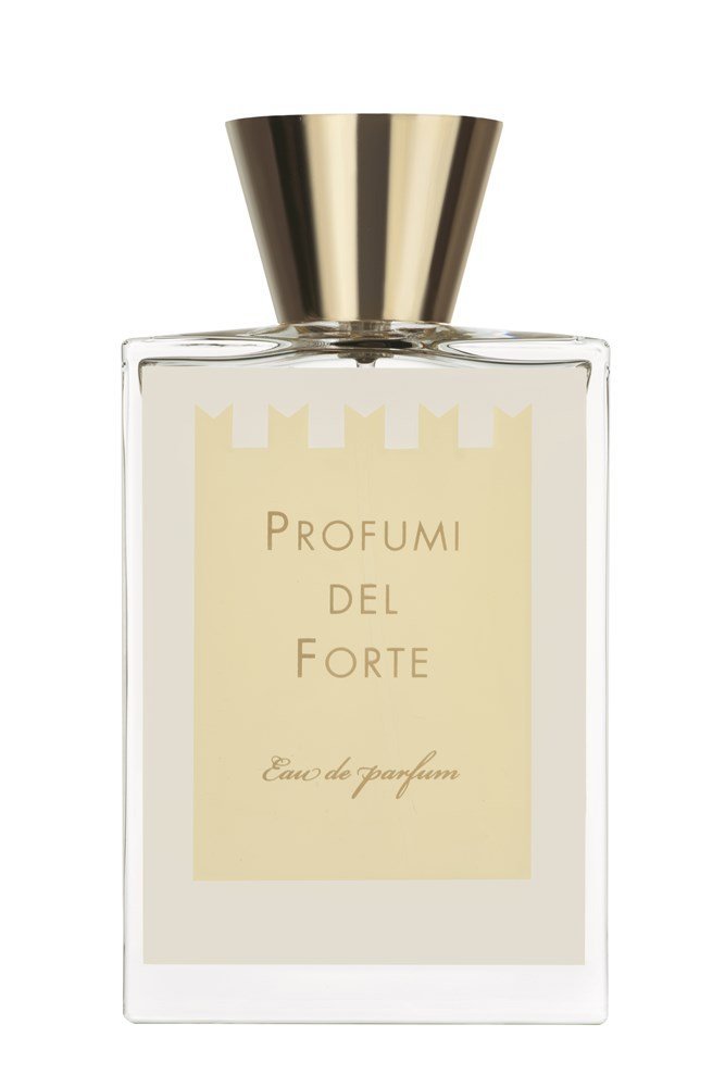 Profumi Del Forte Versilia Vintage Ambra Mediterranea EDP 