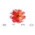 Etro