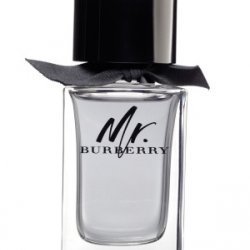 Burberry Mr. Burberry EDT 50ml