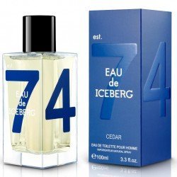 Iceberg Eau de Iceberg Cedar EDT 100ml