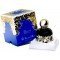 The Vagabond Prince Enchanted Forest EDP 100ml