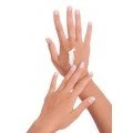 Hand and body cream
