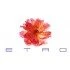Etro