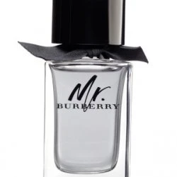 Burberry Mr. Burberry EDT 50ml