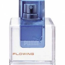 Puma Flowing Man EDT 50ml
