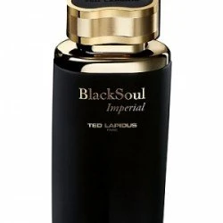 Ted Lapidus Black Soul Imperial EDT 100ml