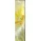 Yves Rocher Pur Desir de Lys EDT 60ml