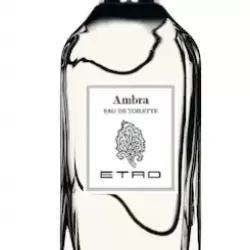 Etro Ambra EDT 100ml