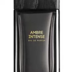 Evody Ambre Intense EDP 100ml
