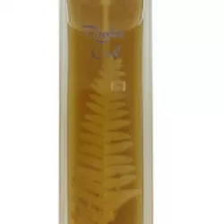 Béjar Rustic Oud EDP 100ml