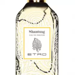 Etro Shantung EDP 100ml