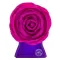 Bond No. 9 Spring Fling EDP 100ml