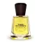 Frapin Terre De Sarment EDP 100ml